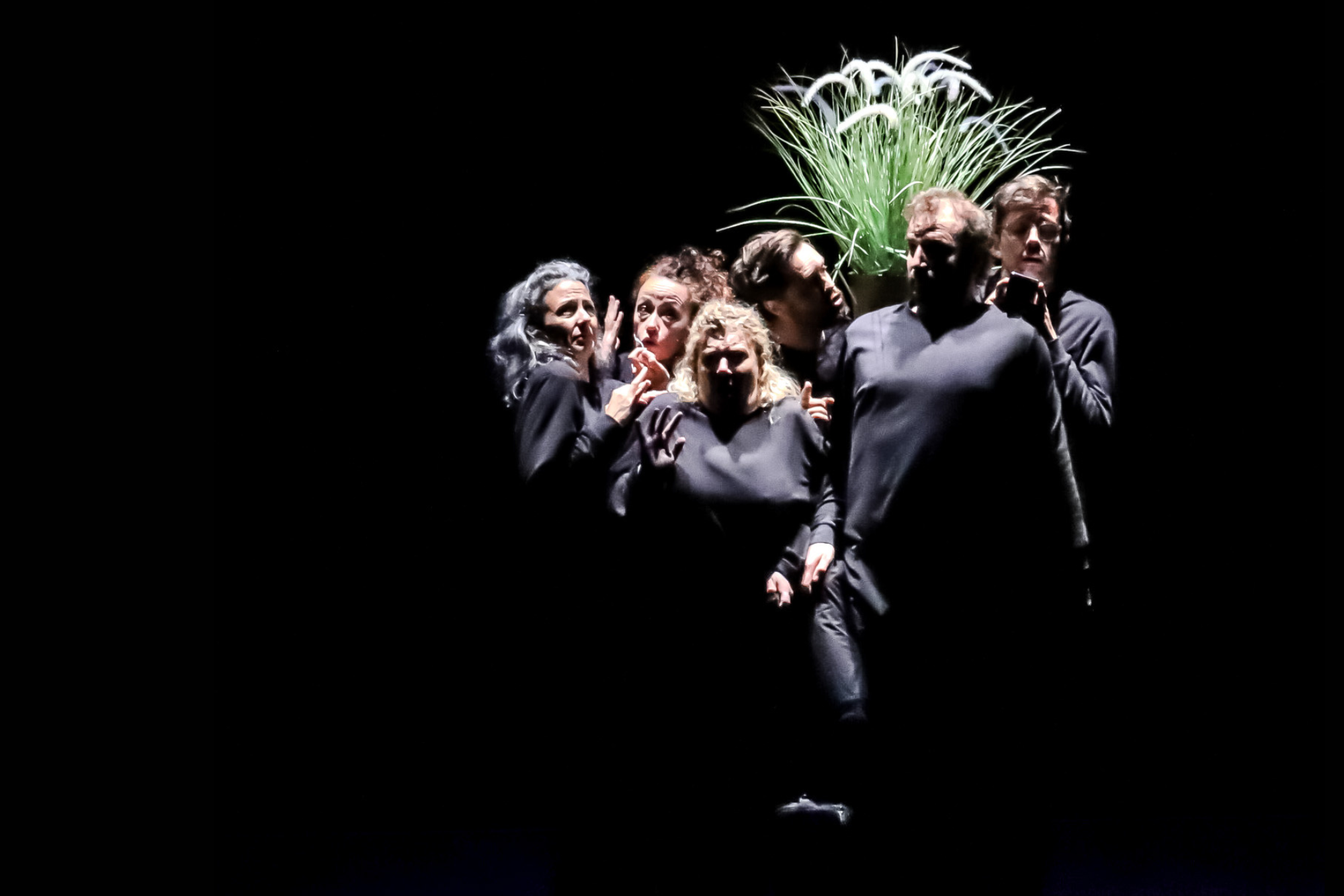 Photos Gallery 2000 x 1333