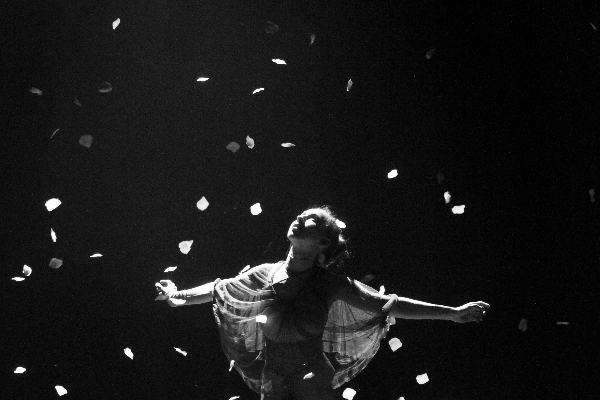 Design sans titre (1)